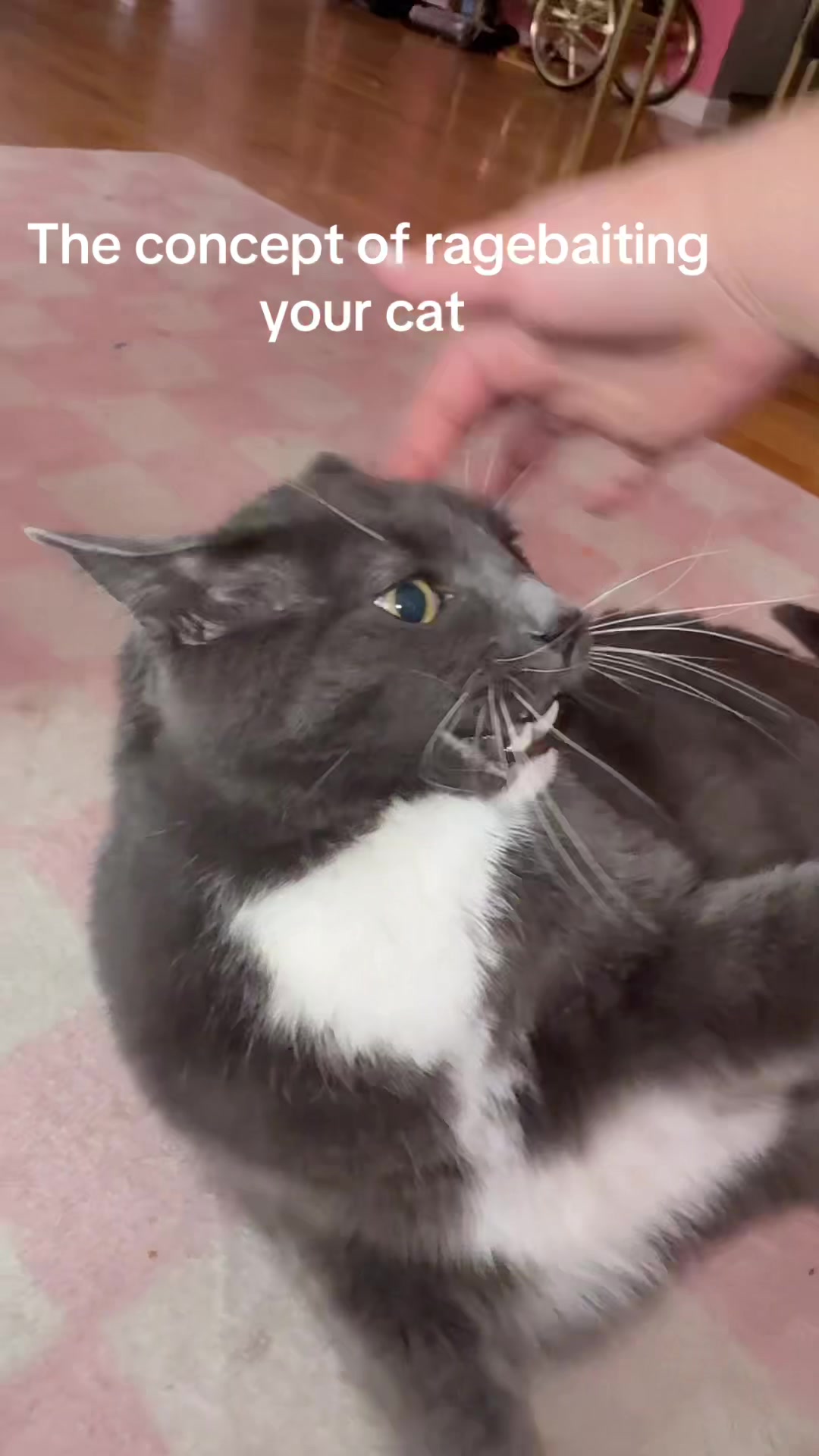@Kim