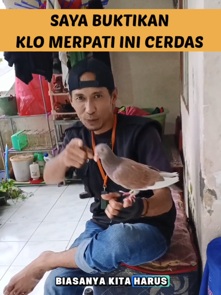 @BANG LEYON