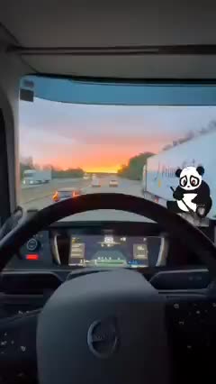 @el panda solitario