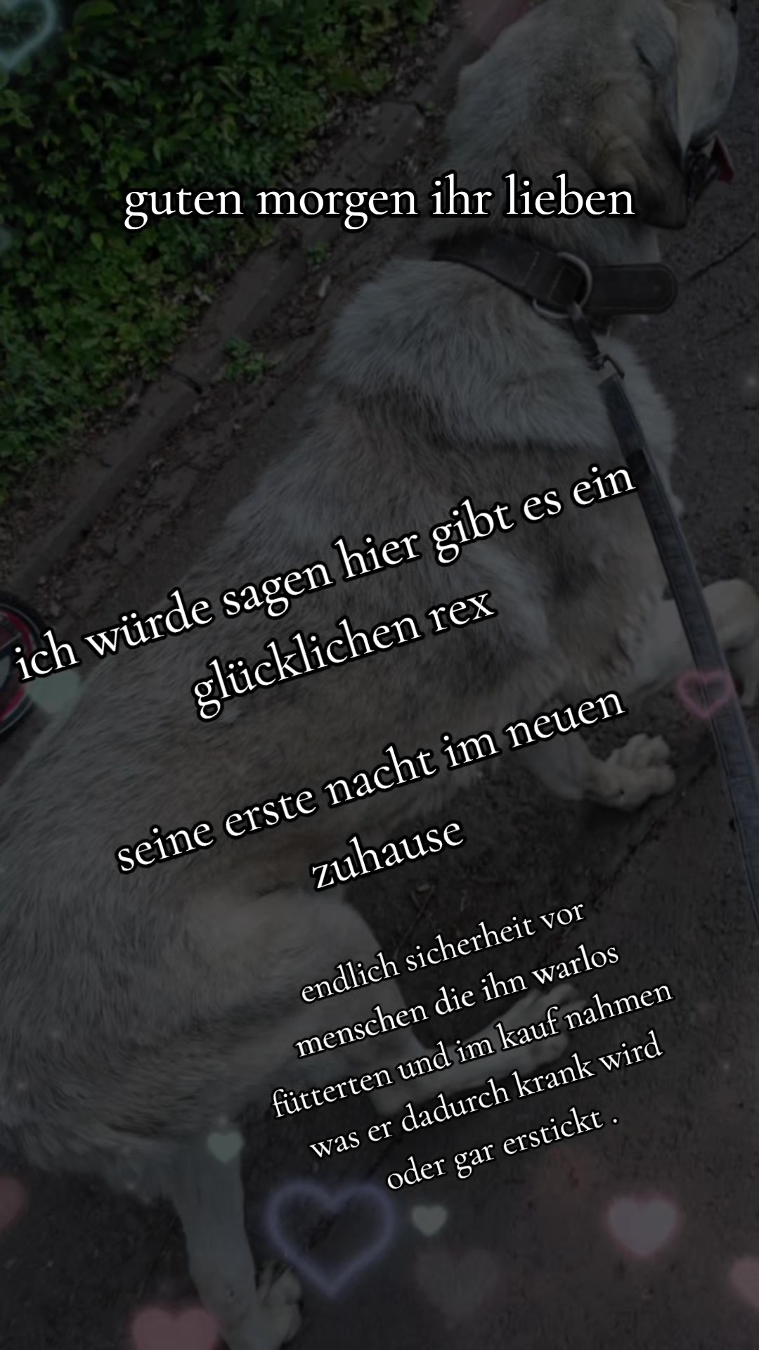 @Gnadenhof Zimmermann-Hesse