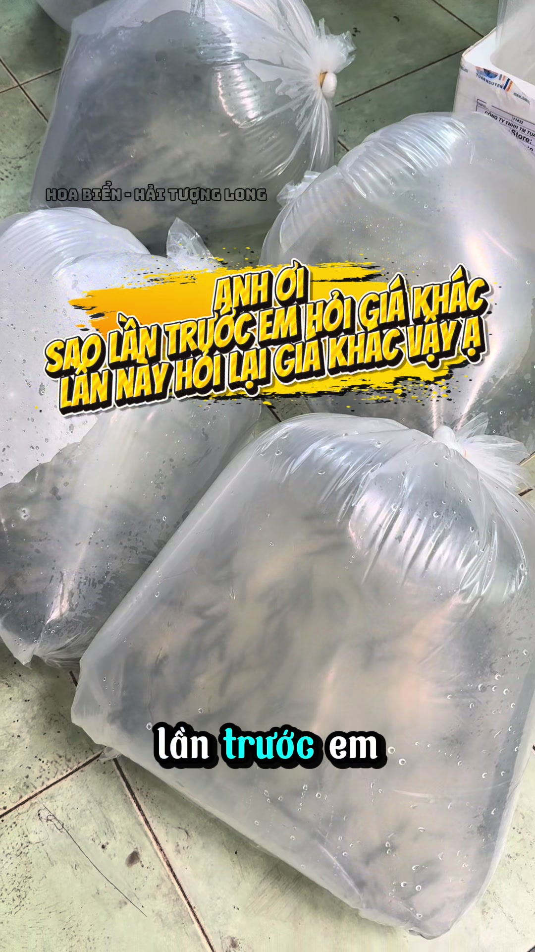 @Hoa Biển - Hải Tượng Long