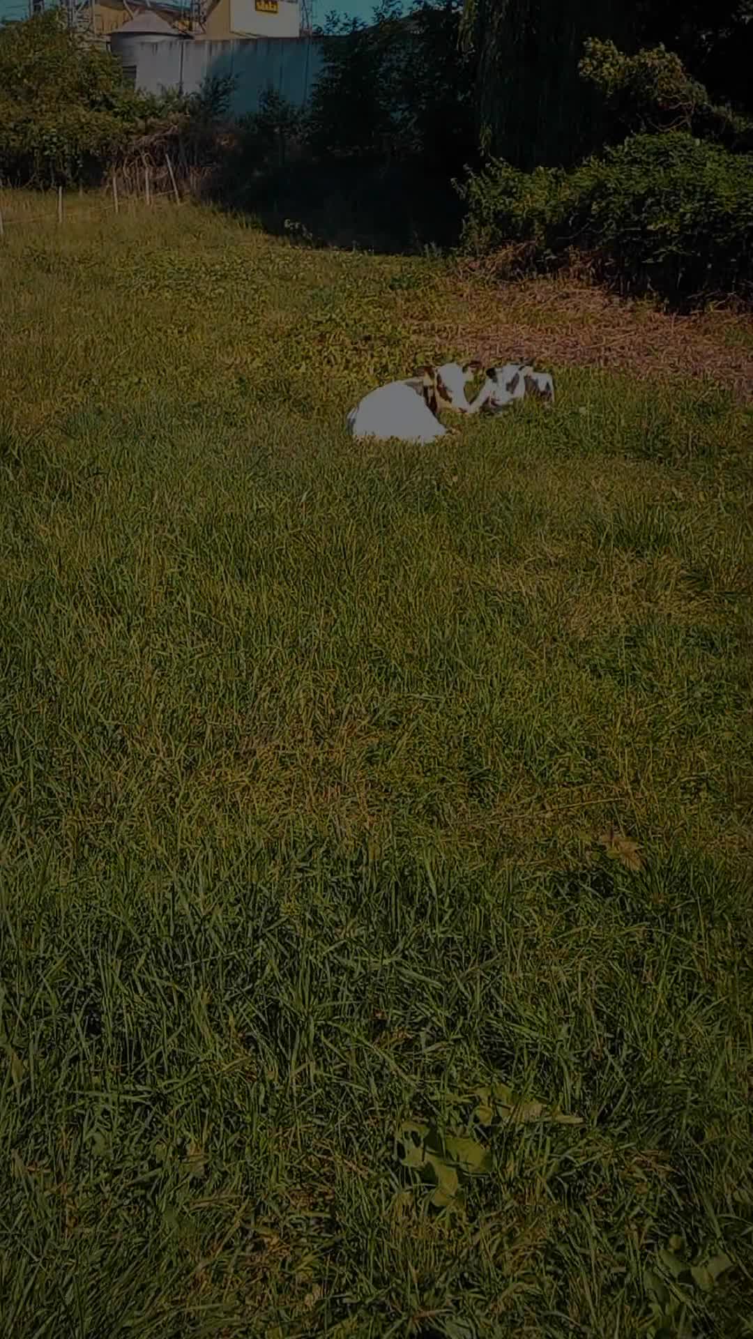 @🦚🆃𝓲𝓮𝓻🅿𝓪𝓻𝓴🆃𝓸𝓴🦚