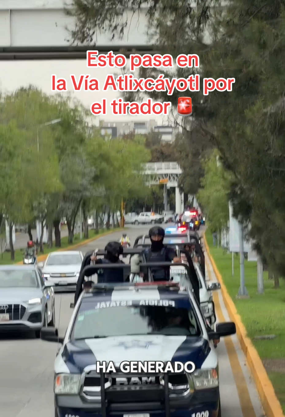 @Rocío Carbente (reportera🎤)