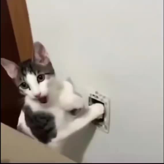 @Nico