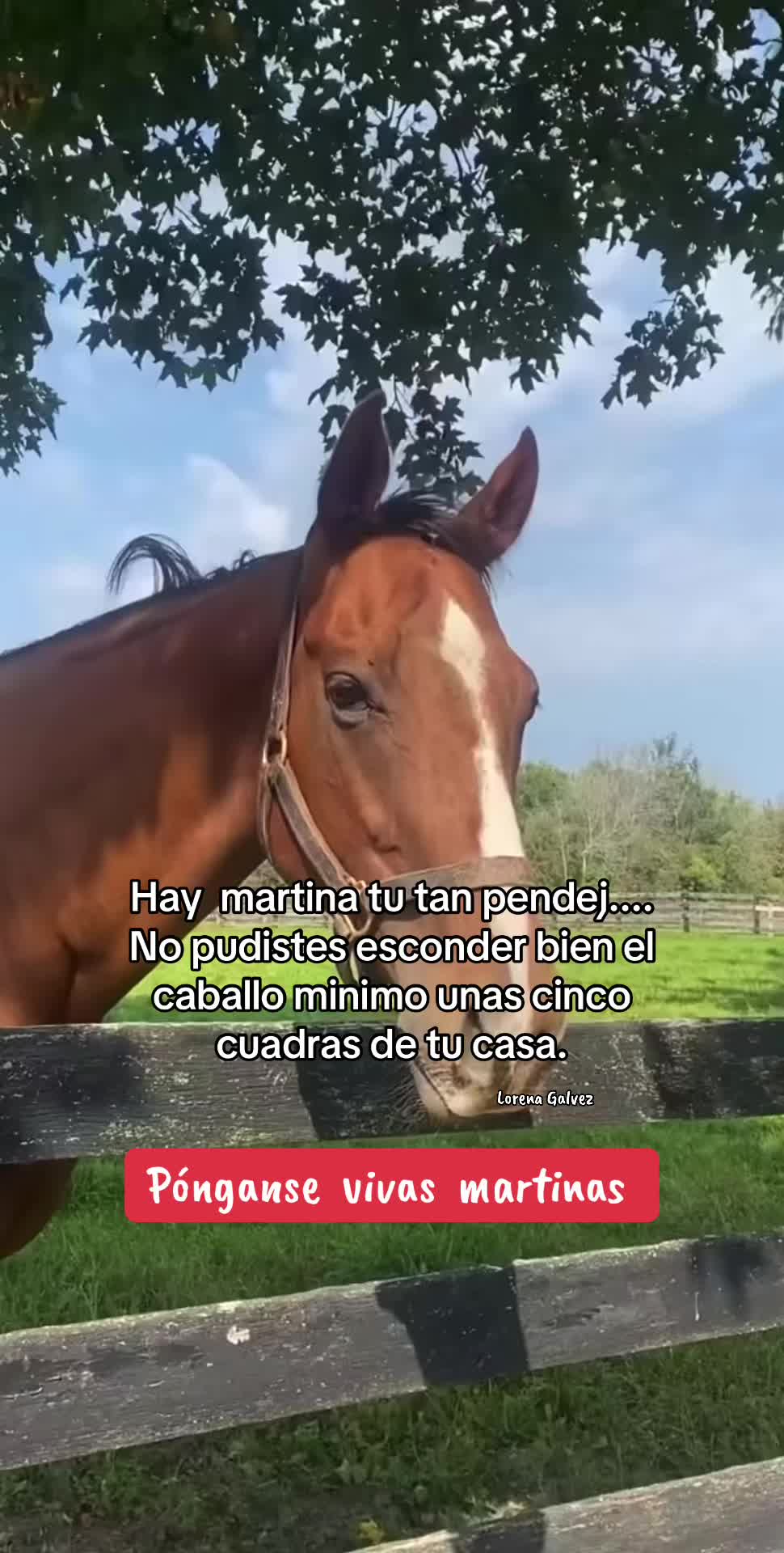 @𝙇𝙊𝙍𝙀𝙉𝘼 𝙂𝘼𝙇𝙑𝙀𝙕ᥫ᭡