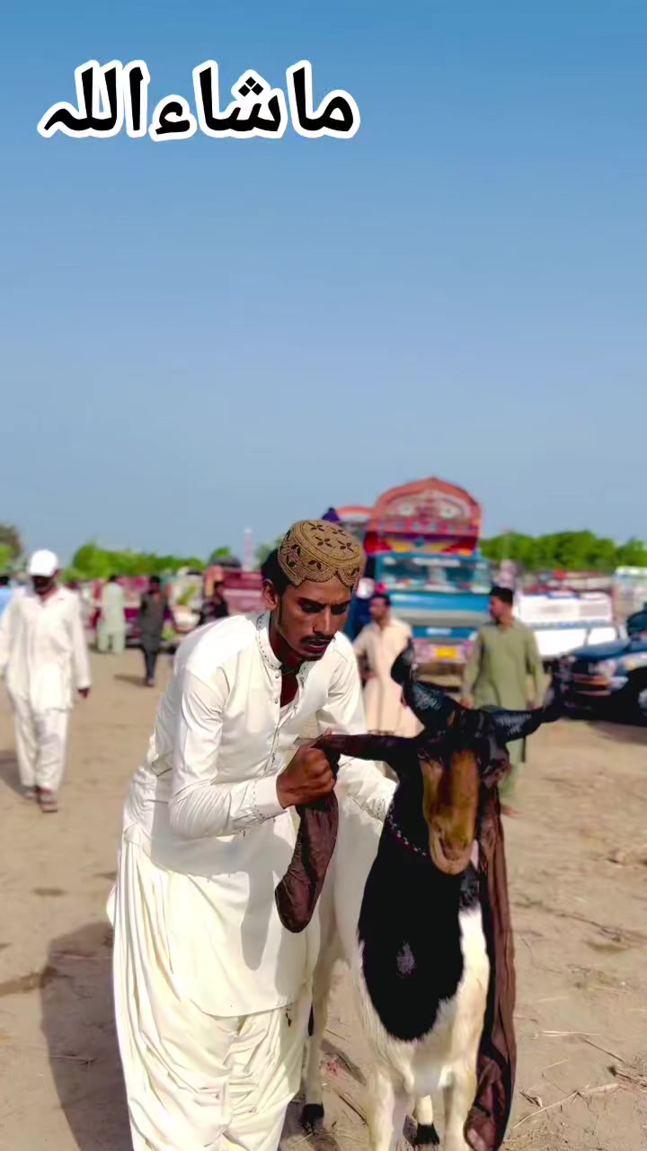 @✨.زاهد سولنگي واپاري. 🐐