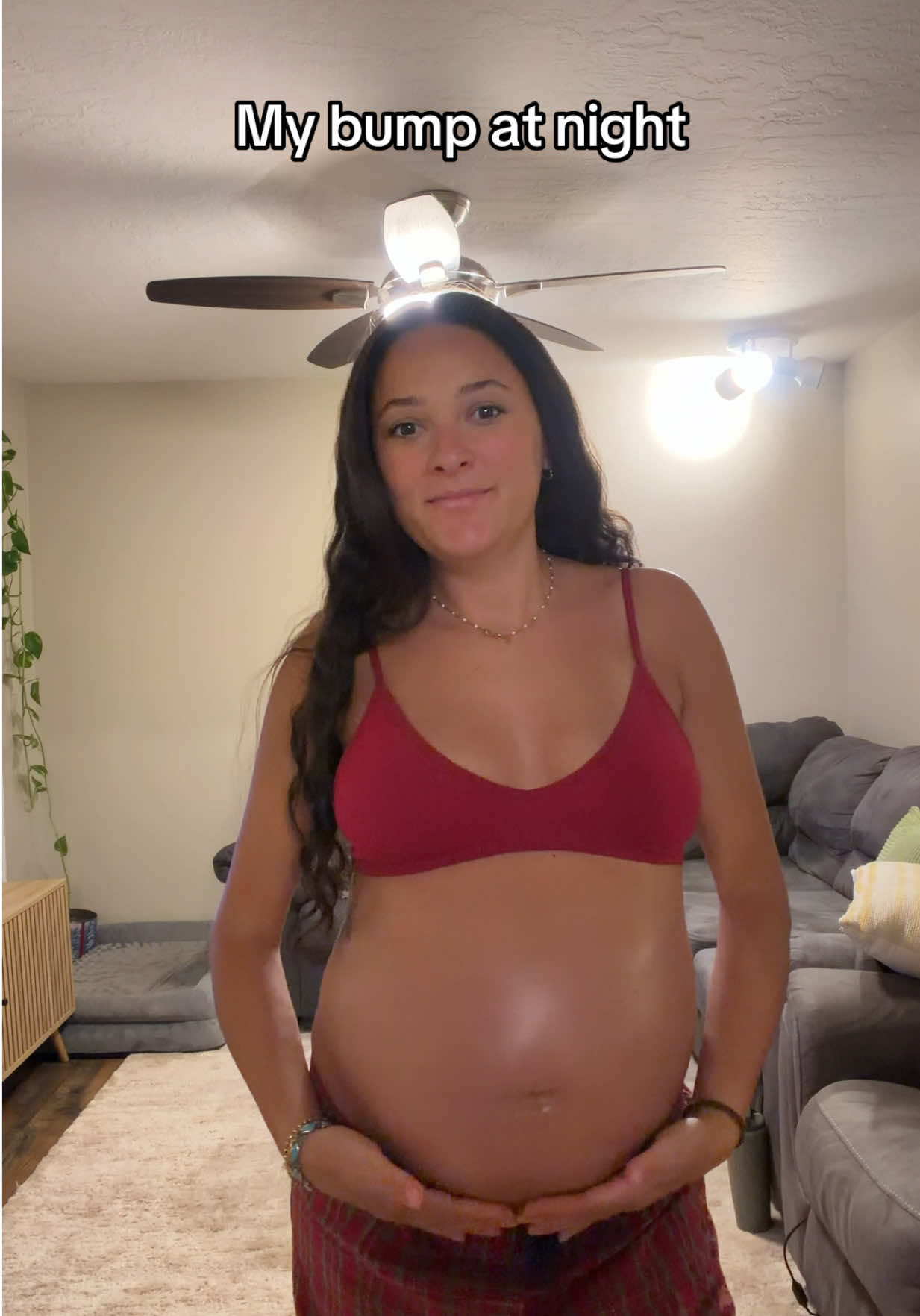 @sedaingram