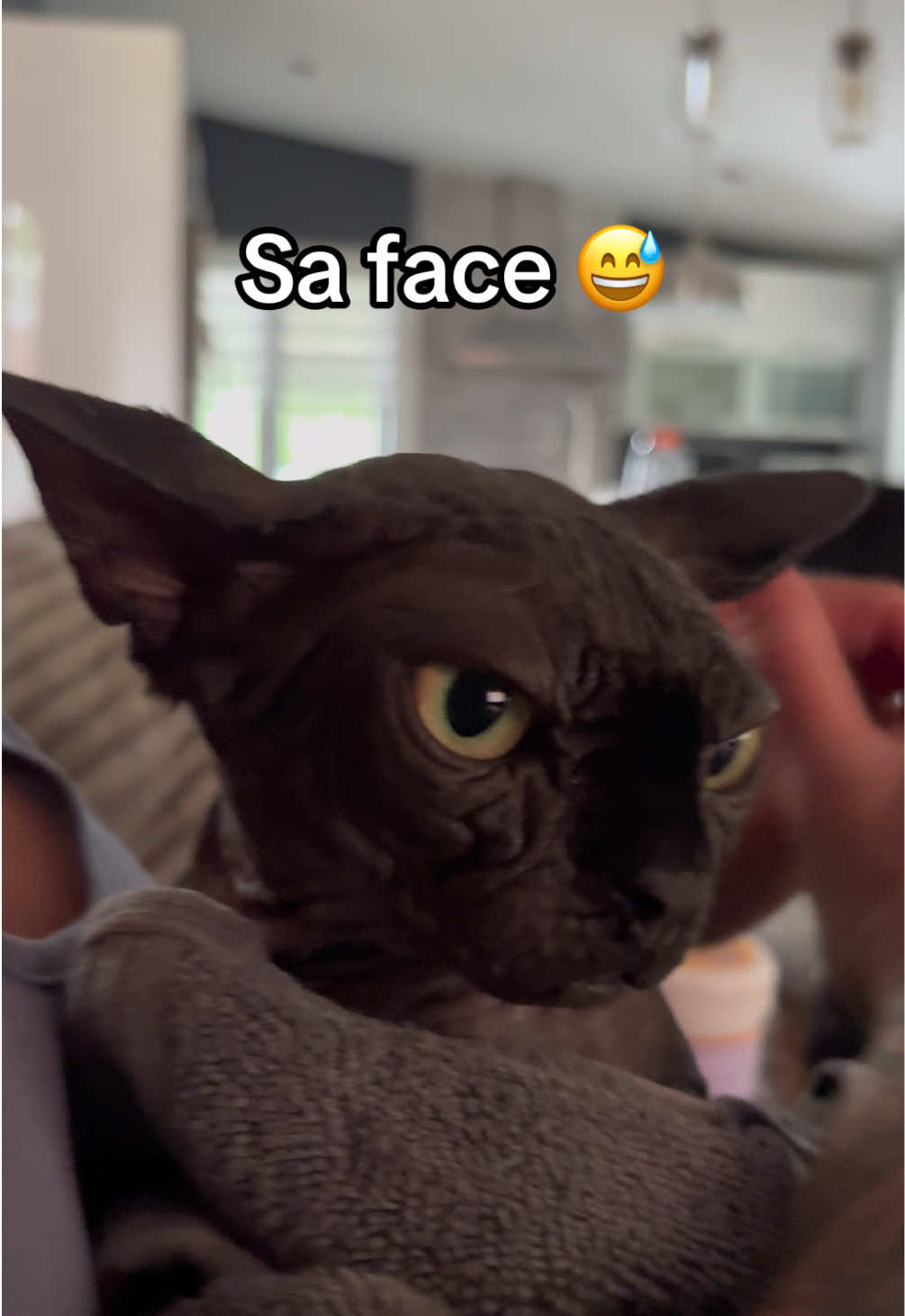 @sami_leo_missa