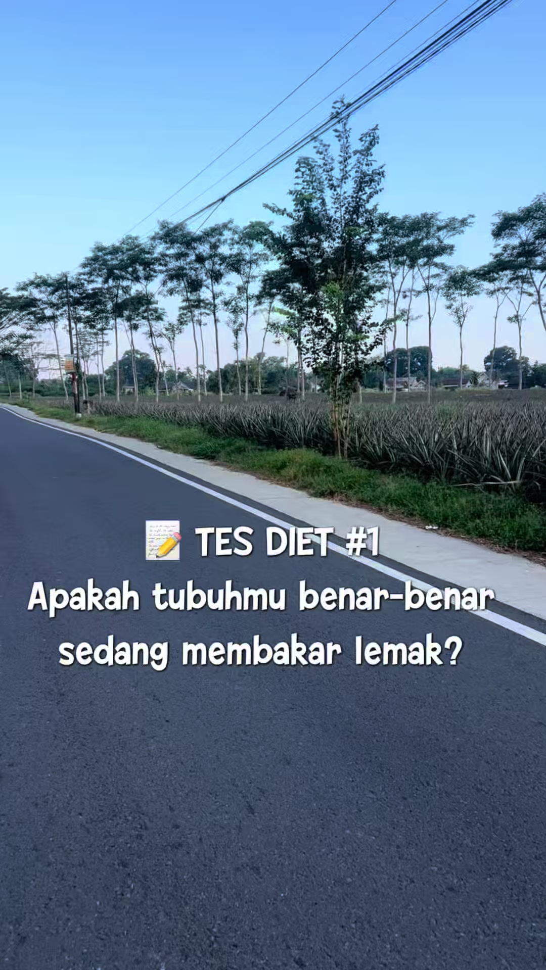 @Kelas Diet Online