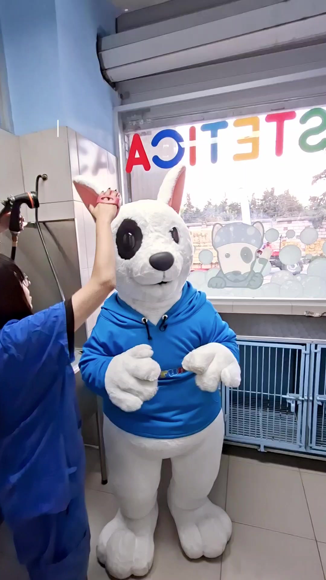 @Perrunos Veterinaria