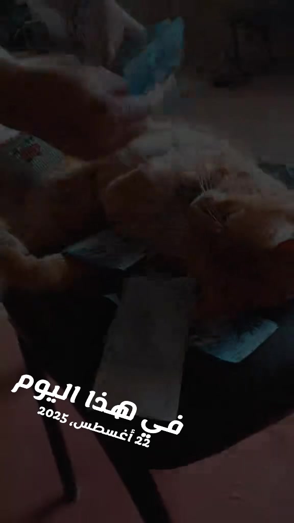 @๐ฒ๐ฆ๐ฒ๐ฆ๐ุฃู
ููุงูุ๐๐
