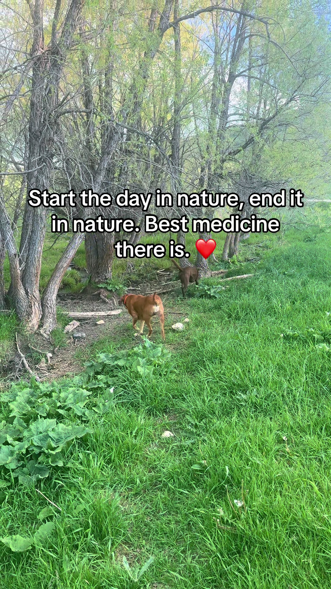 @HikingGal