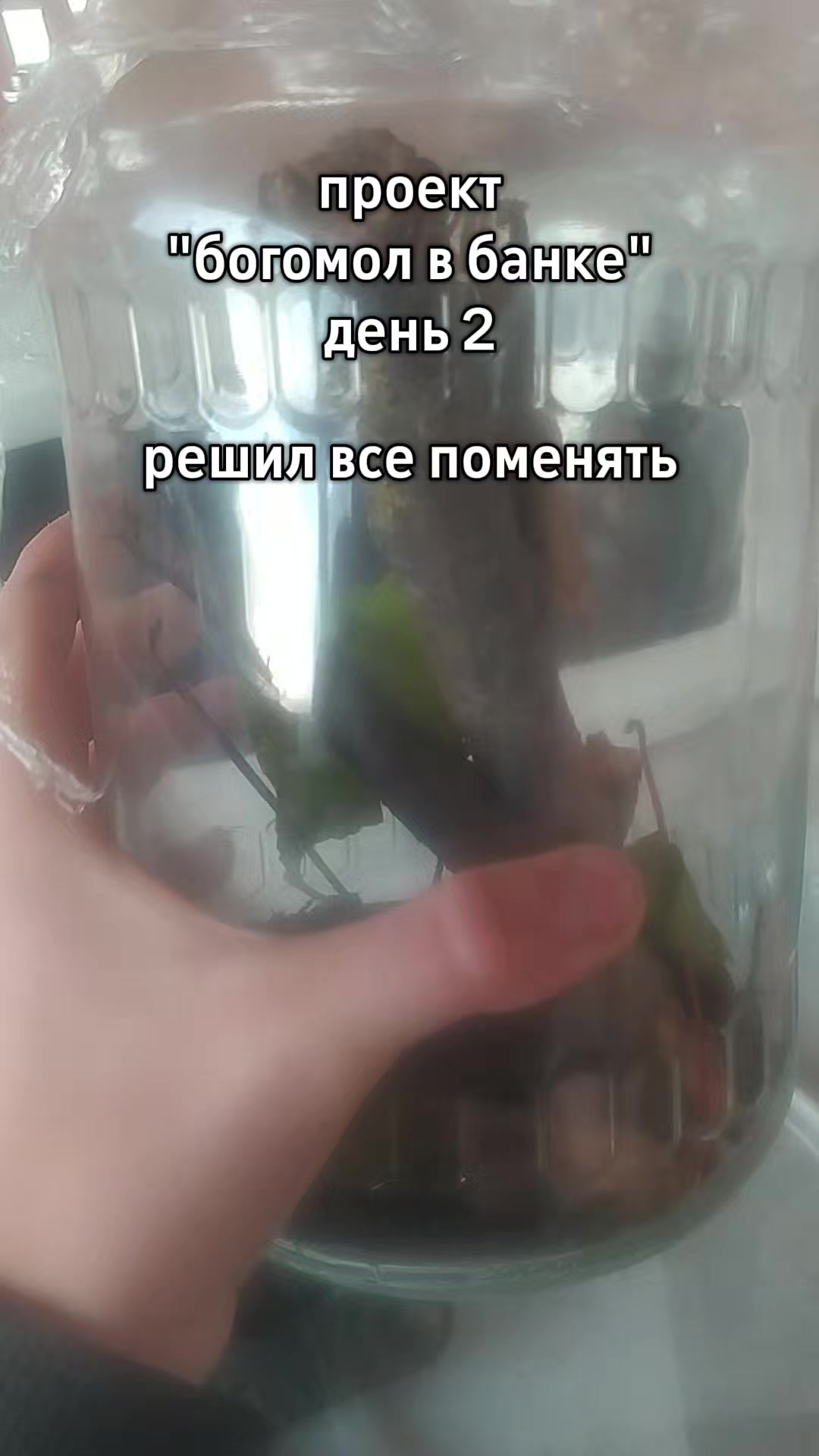 @𝙠𝙫𝙖𝙨𝙨/КВАС☑️