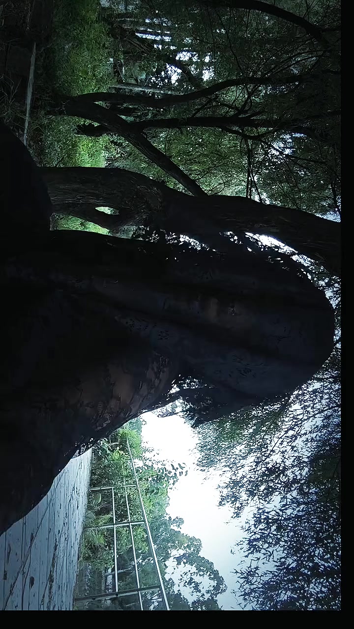 @angel.exe
