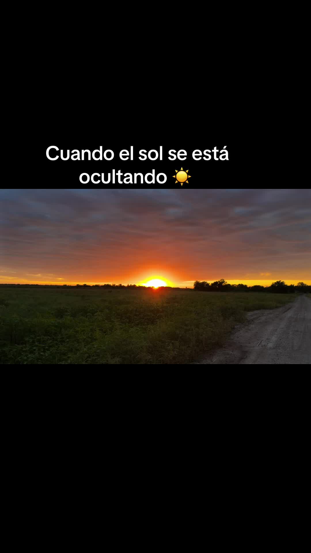 @ssaidalopez