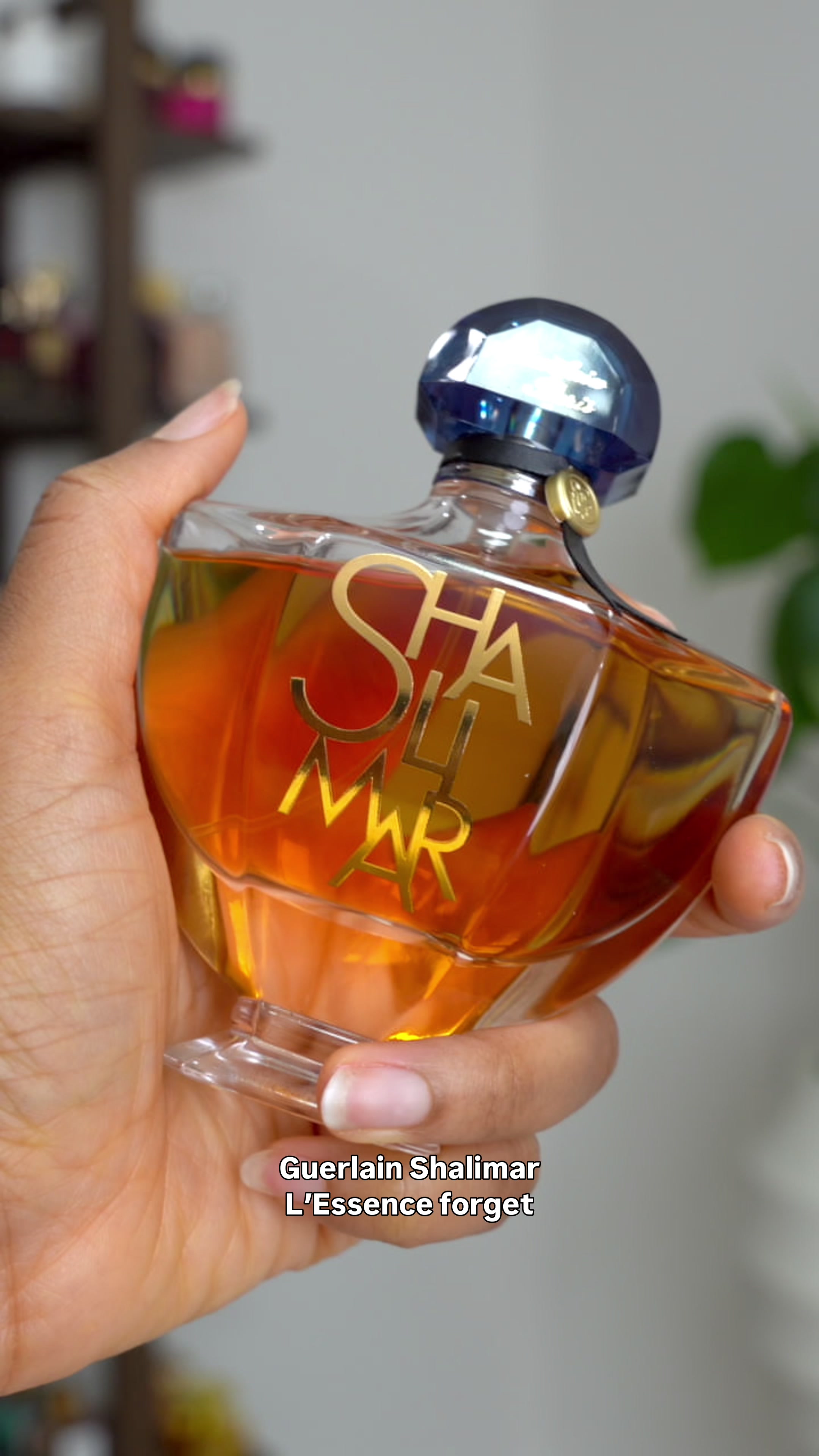 @Ijé | Fragrance Influencer