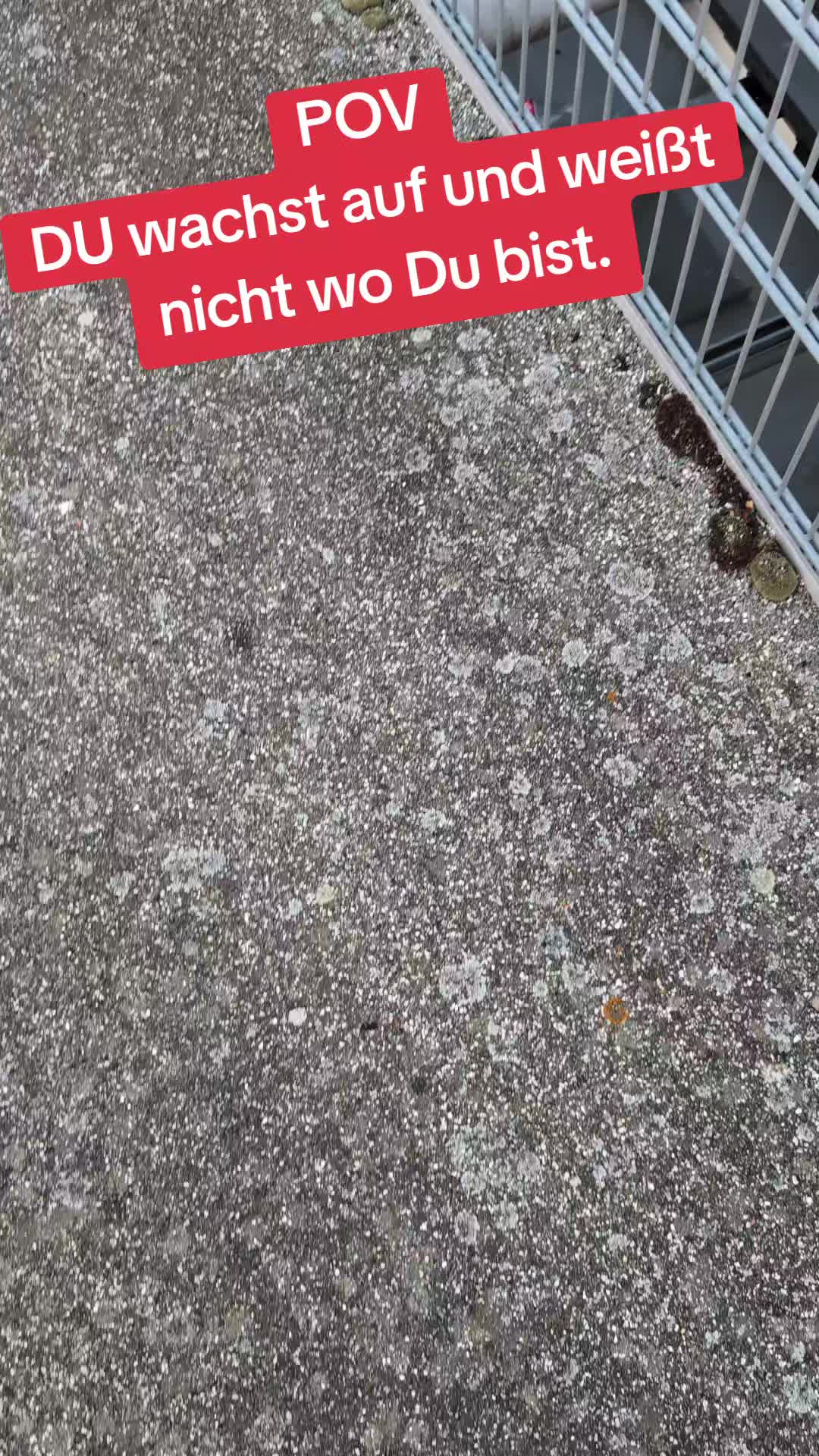 @⛵🧭⚓Küstenlümmel⚓🧭⛵