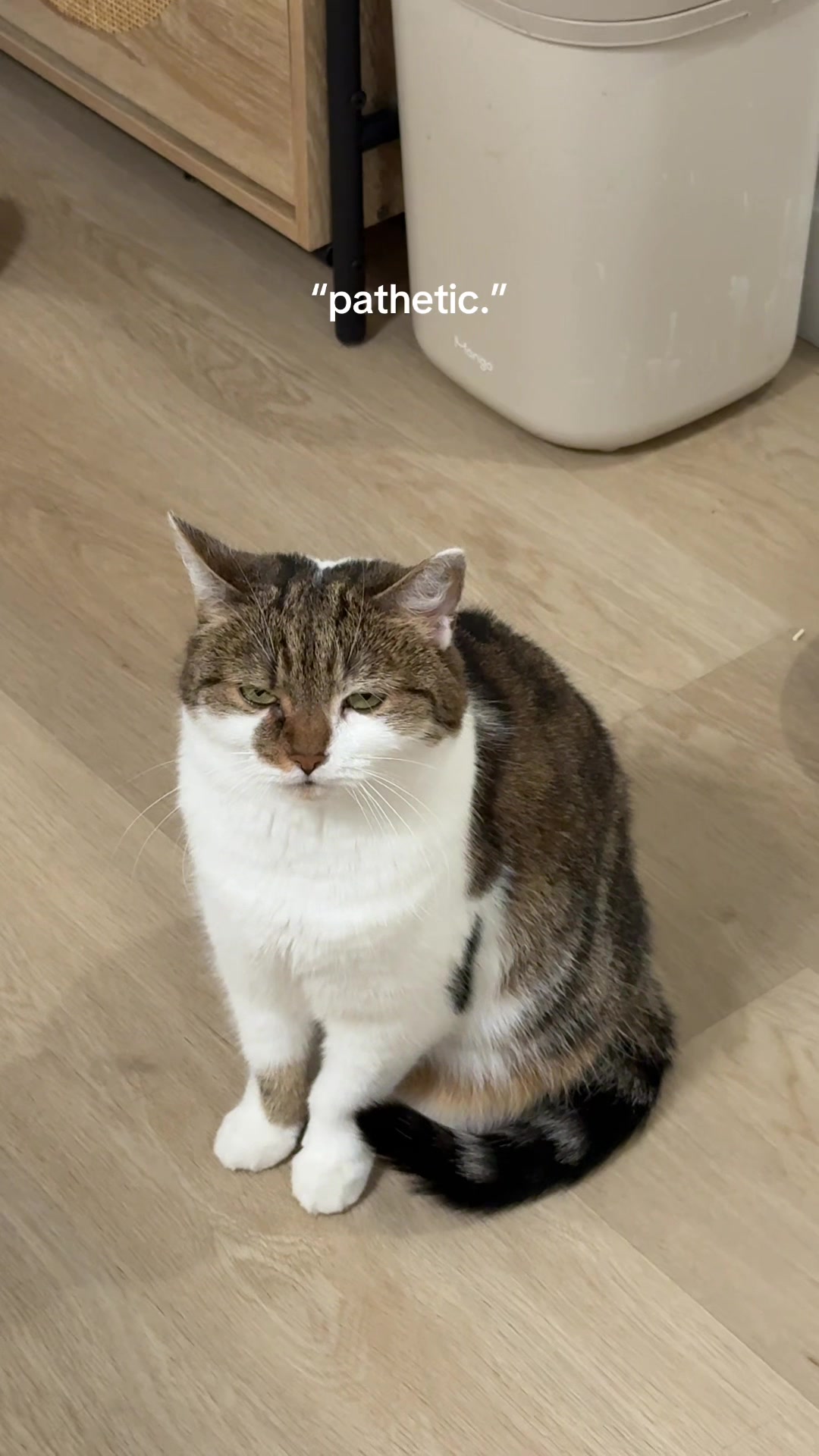 @Suki Purrs