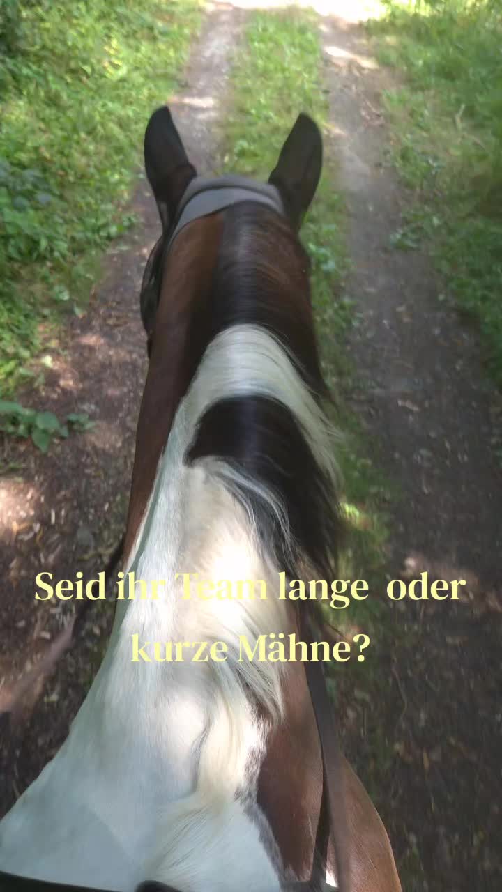 @Herzenspferdanuuk