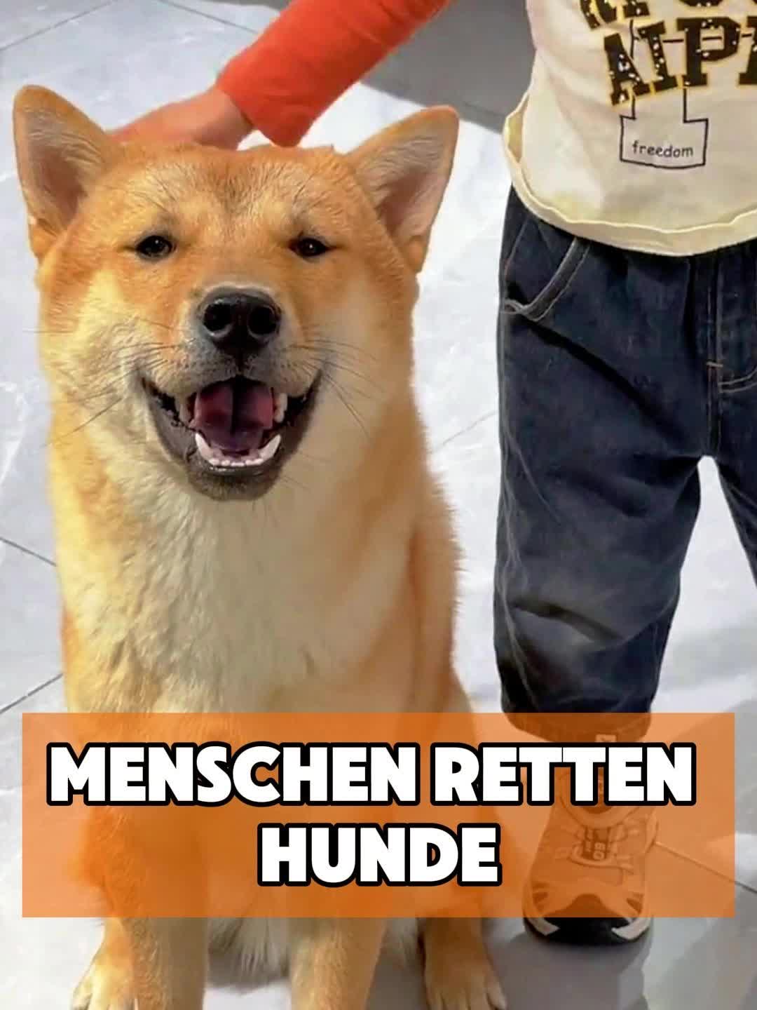 @toto_tier