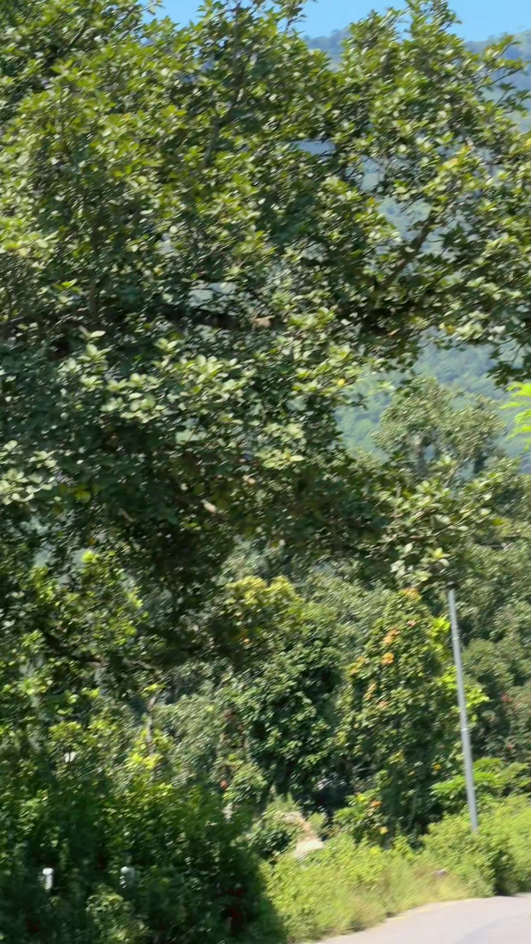 @Ramesh Karki