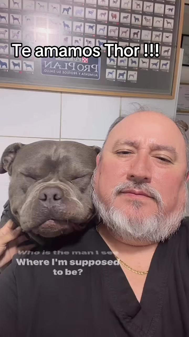 @VETERINARIA DR. CORTEGANA