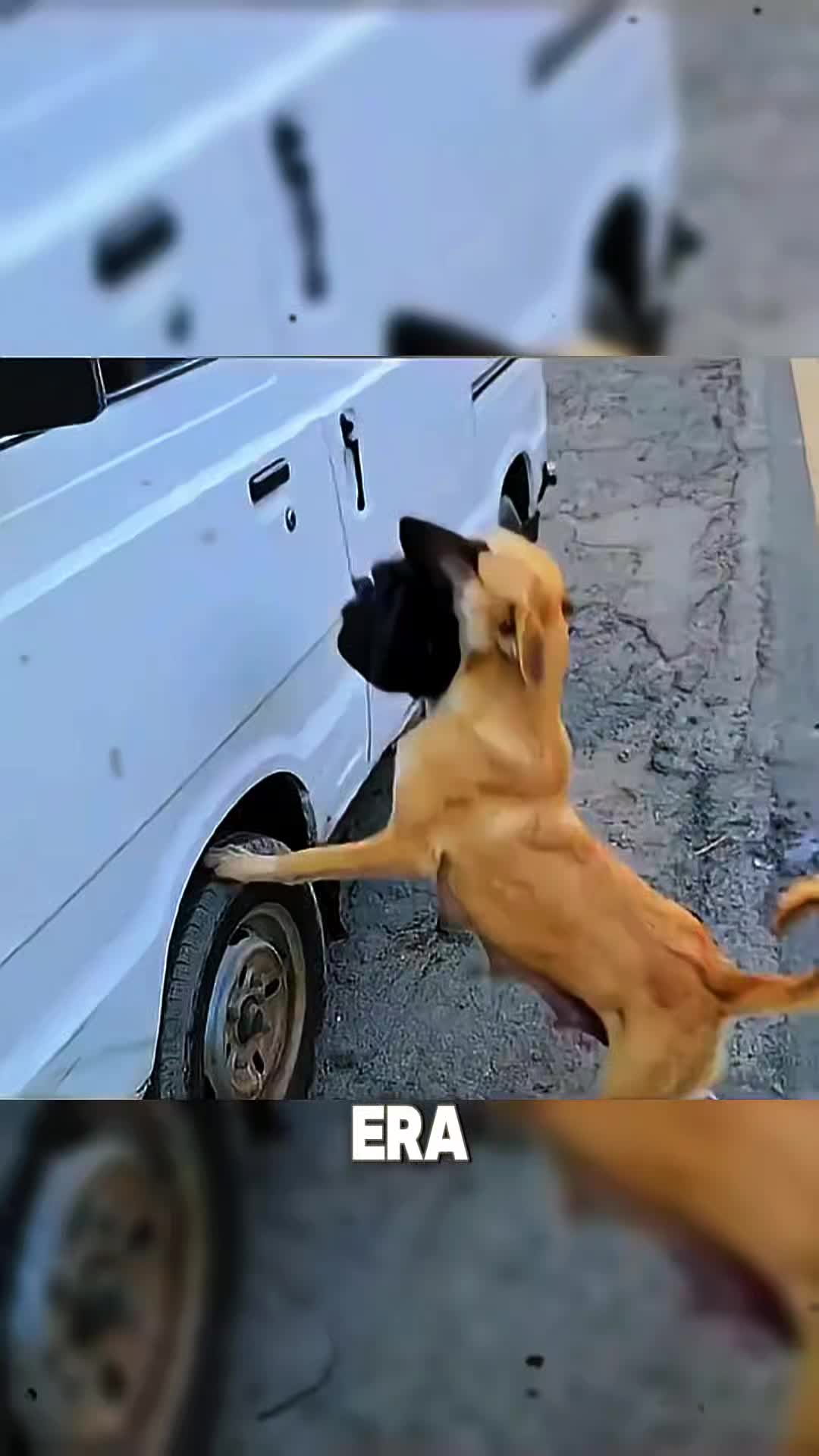 @Historias sobre Ruedas