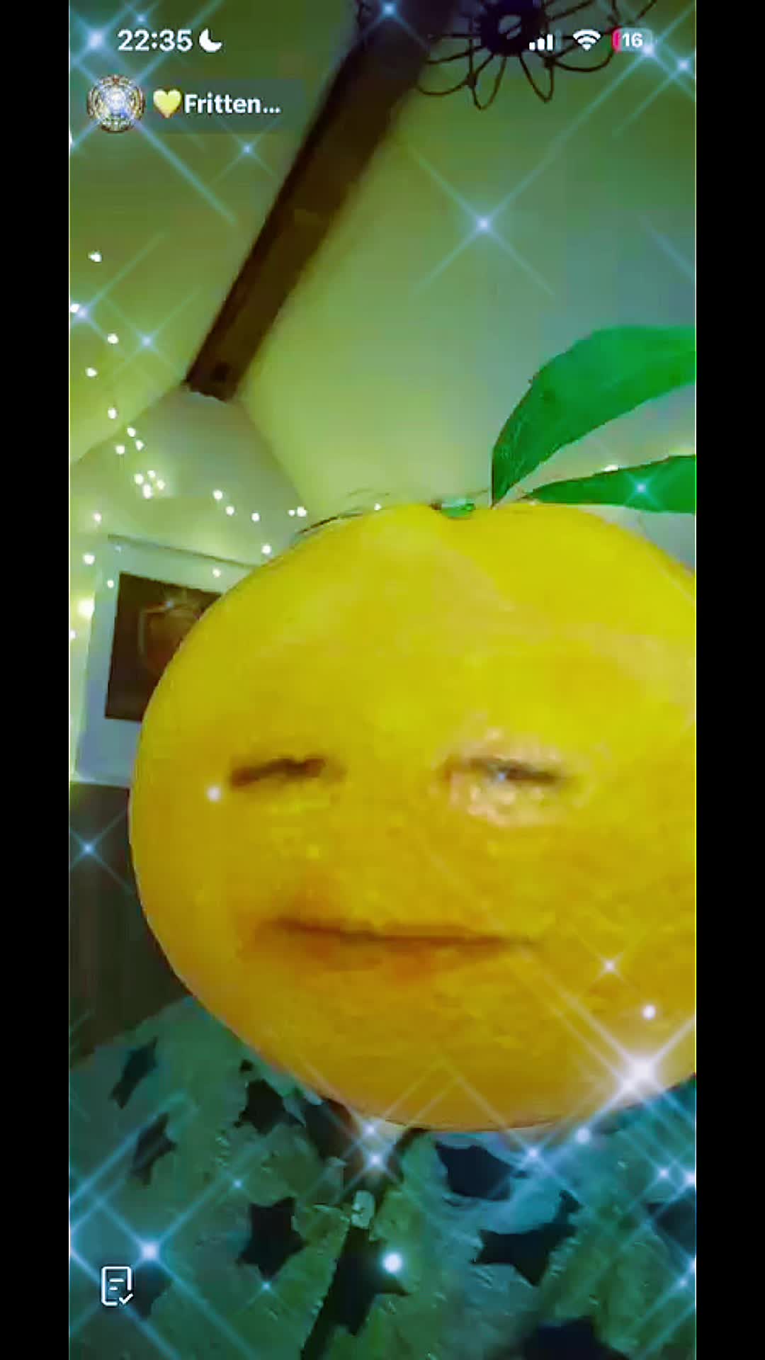 @💛FrittenOma💛TeamFrittenOma🍟
