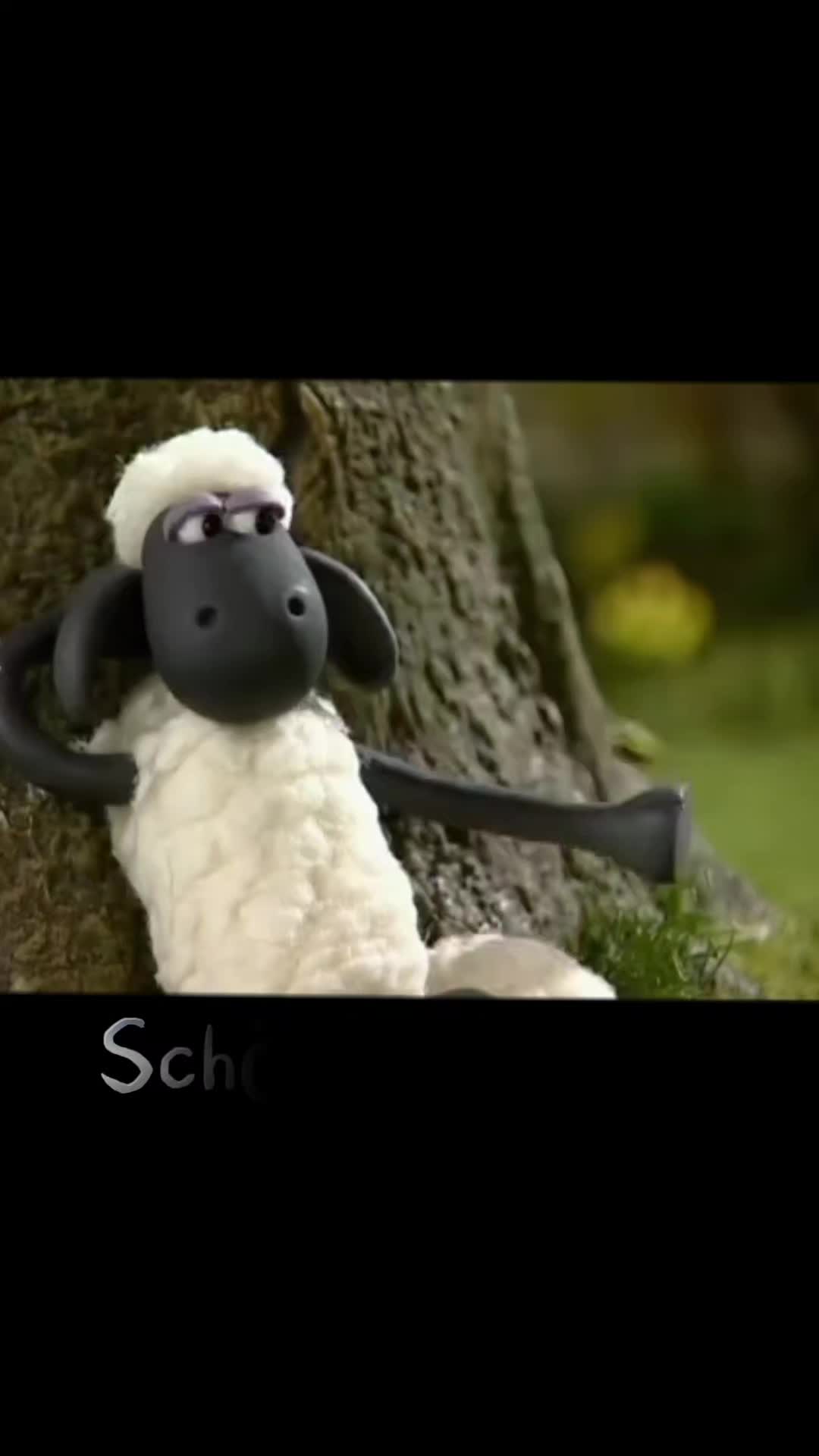 @zahnzaubermaeuschen