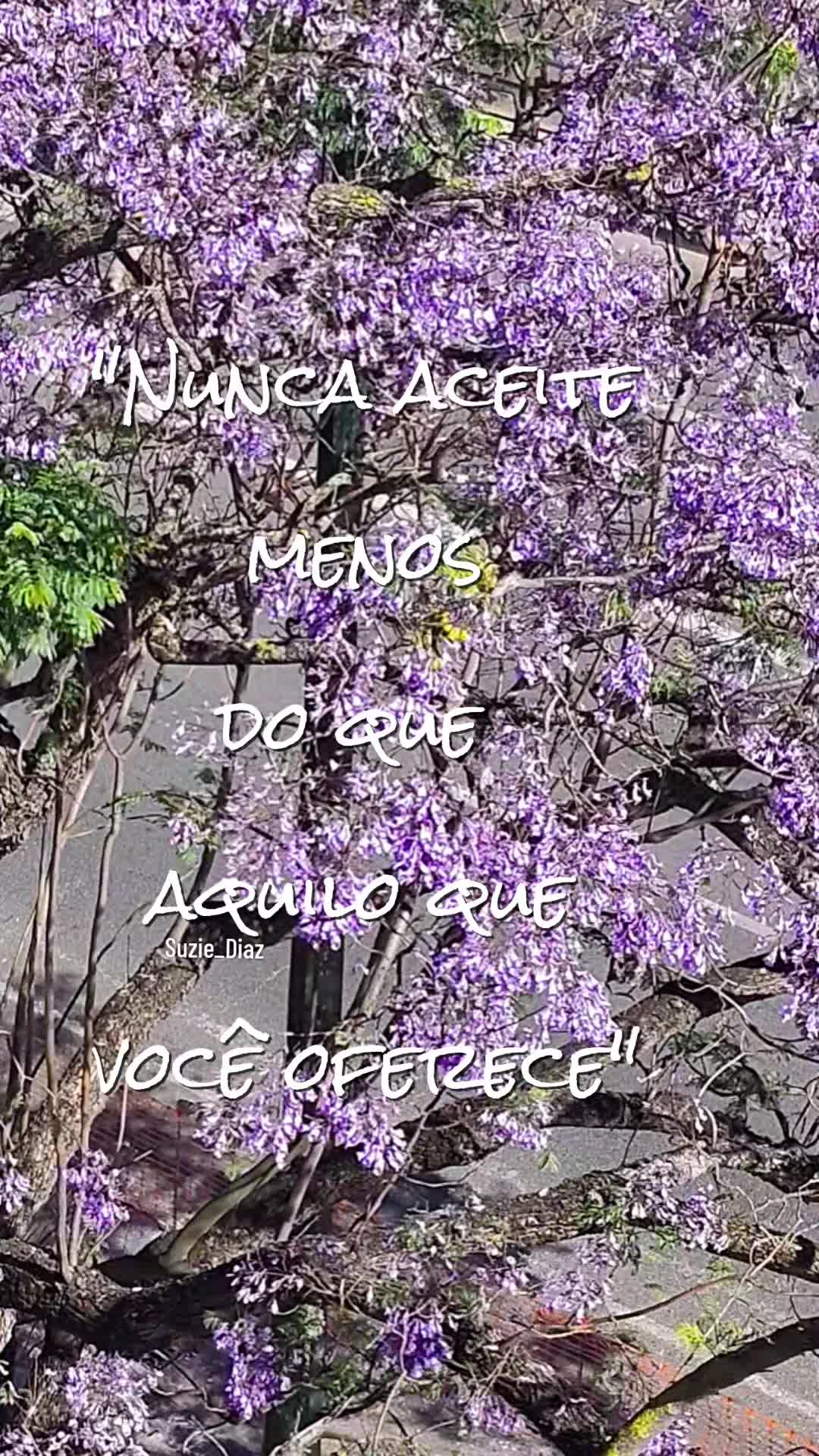 @🌺Suzie Diaz🌺
