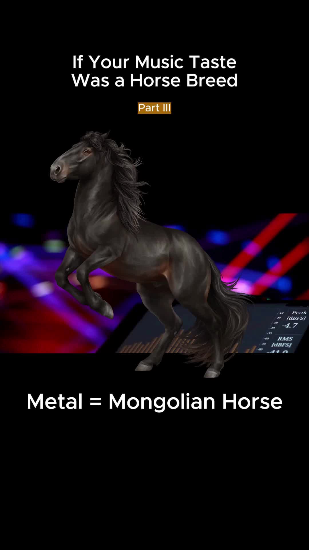 @Horse Reality