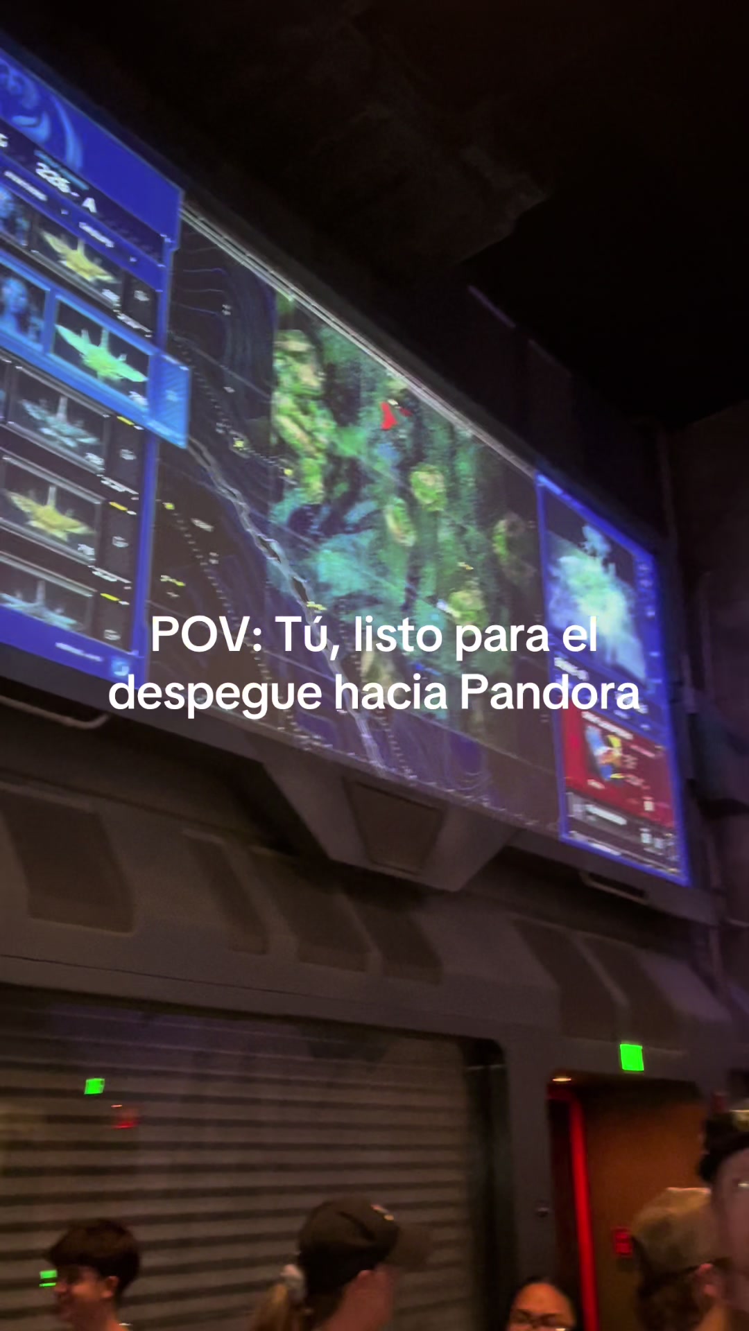@tal-ivan