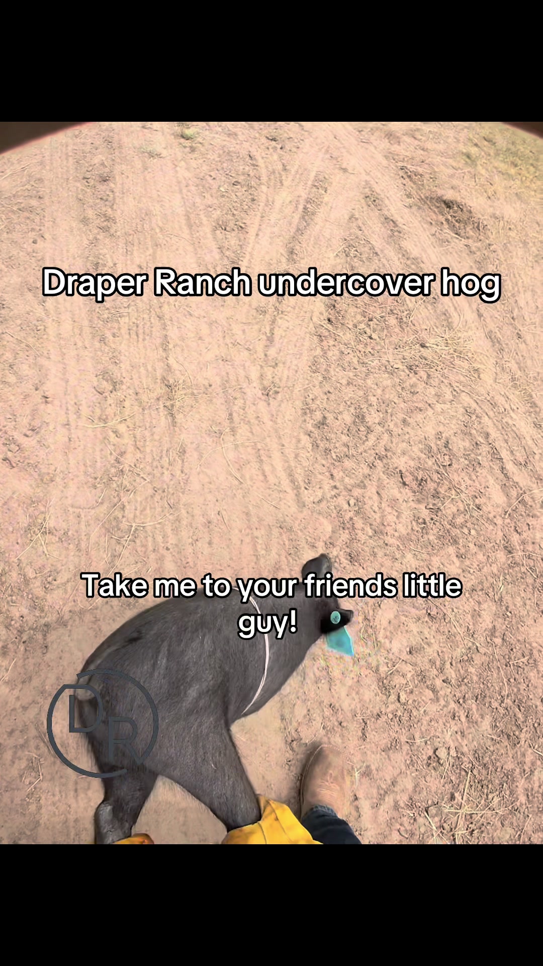 @draperranch