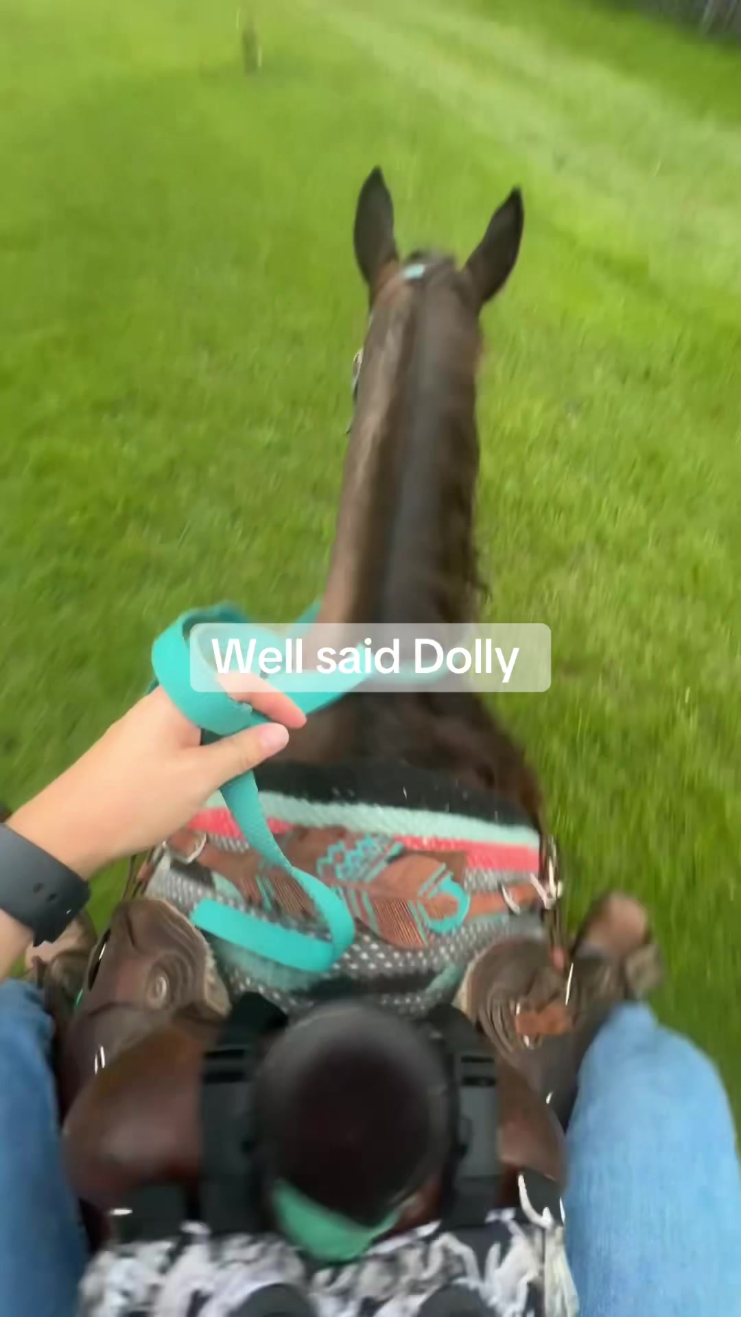 @holly_wood2427