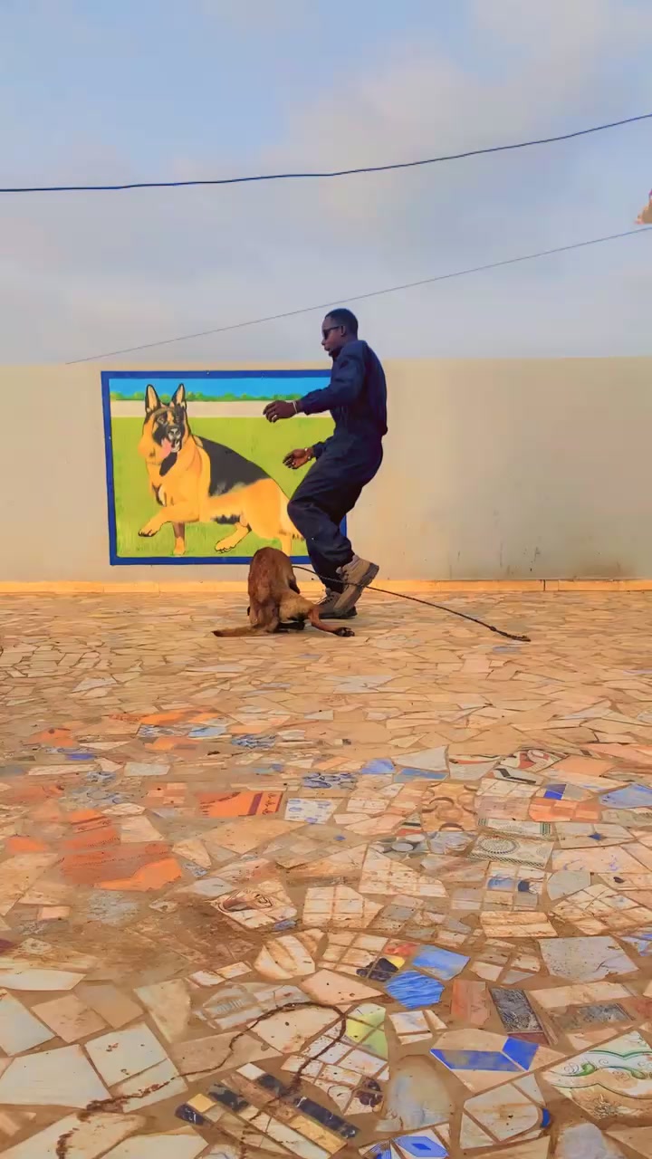 @G.I.C.N 🇸🇳🐾Ma&icirc;tre Weuz🐕&zwj;🦺
