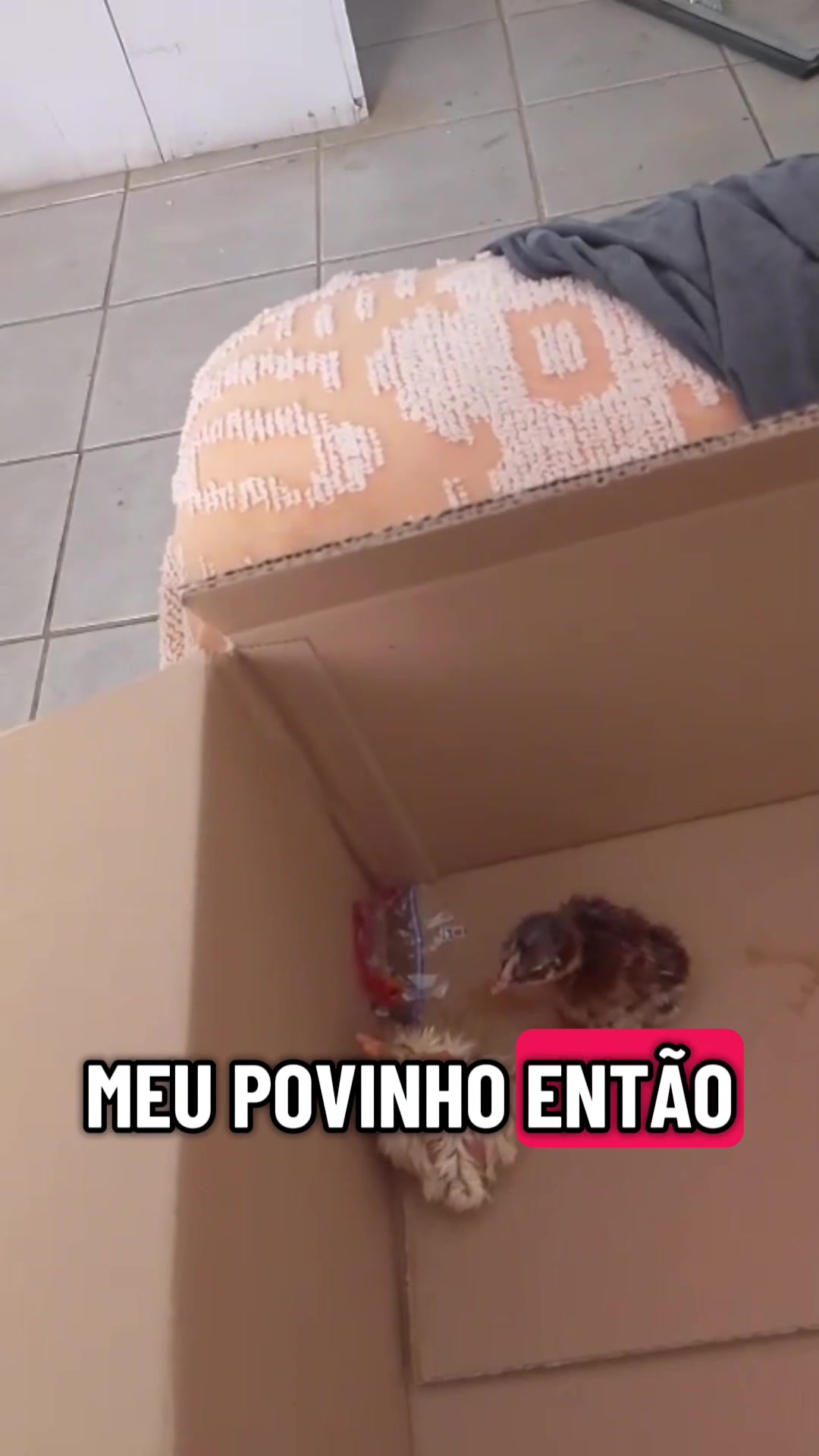 @gordimvideos