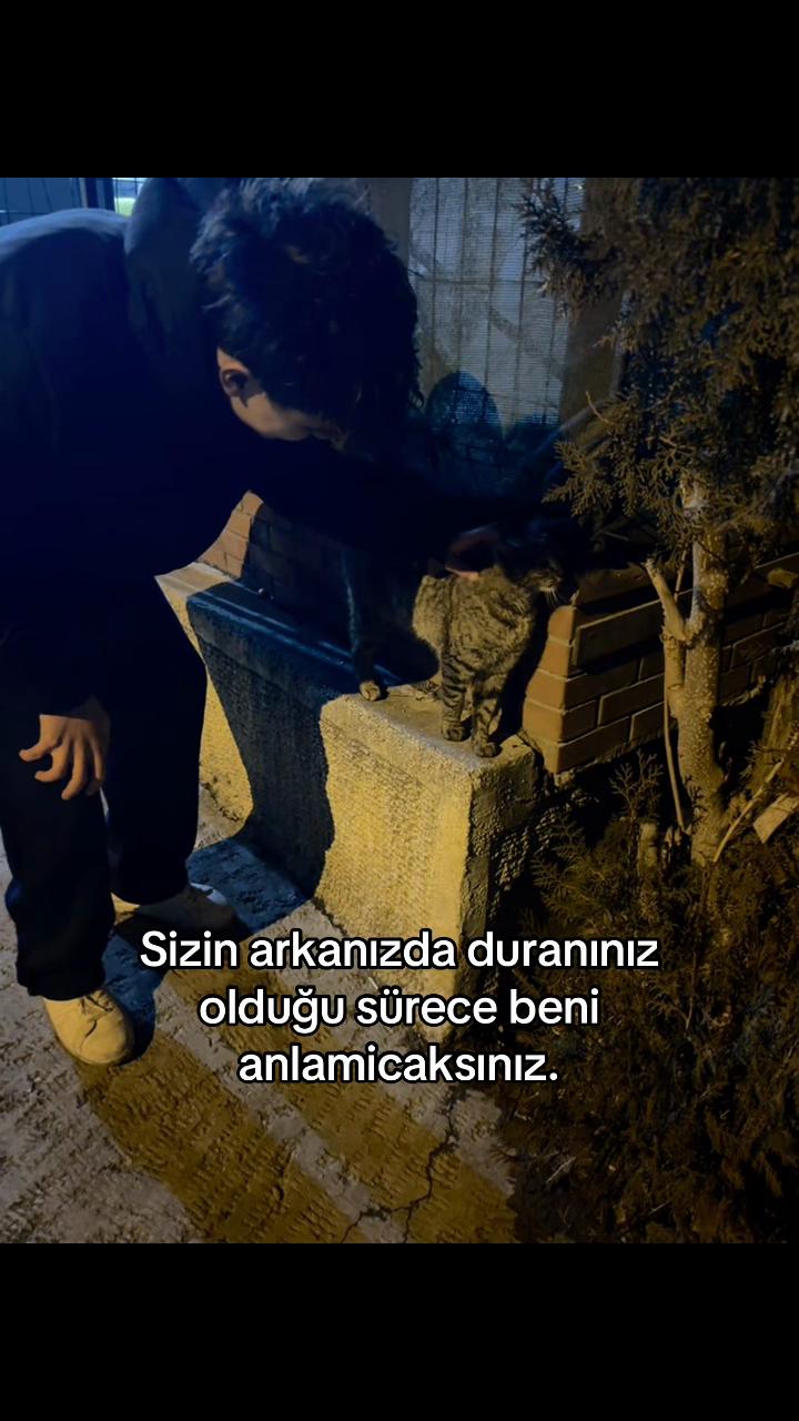 @Dogan