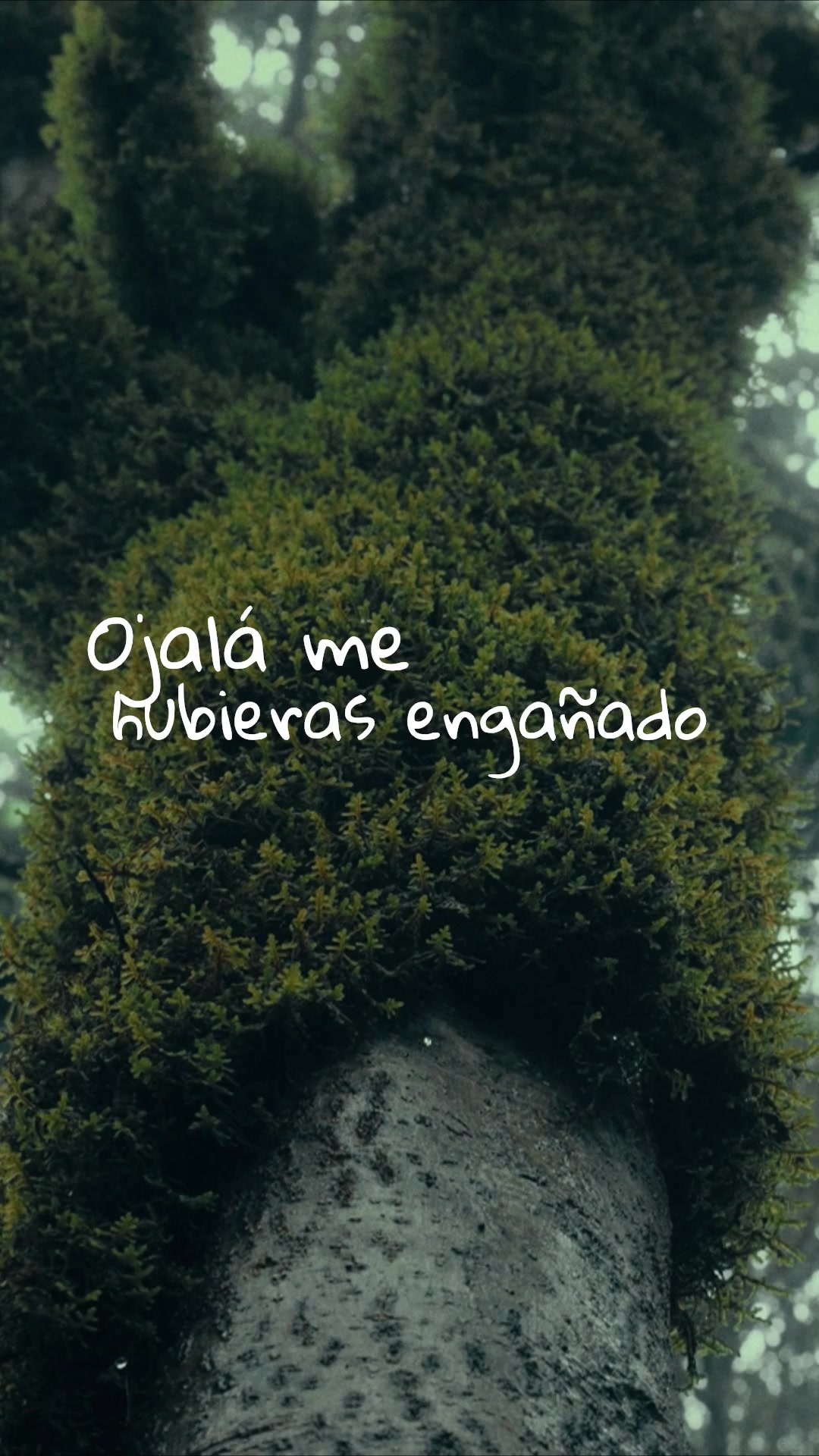 @Andrés Obregón