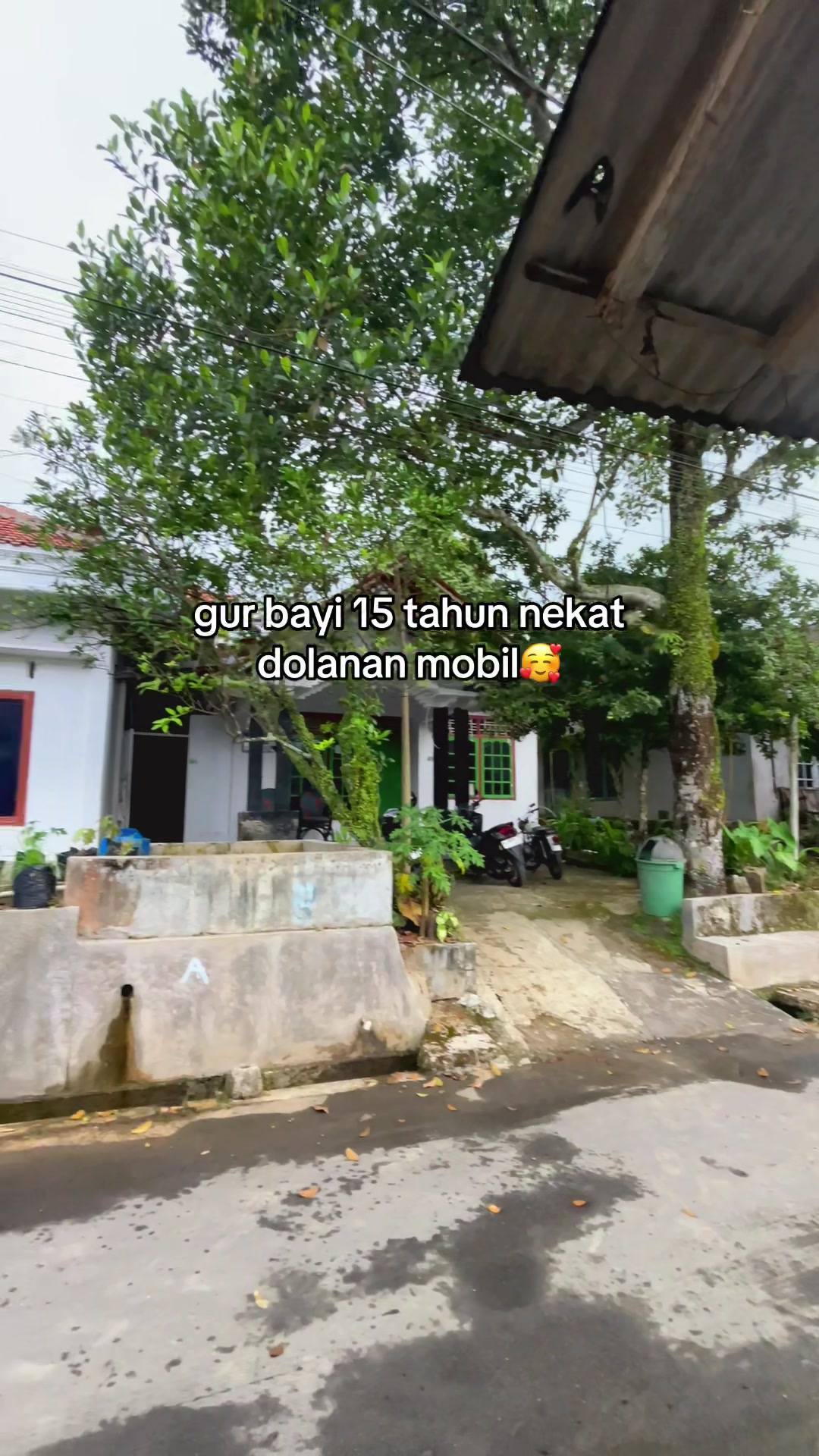@pinguin 