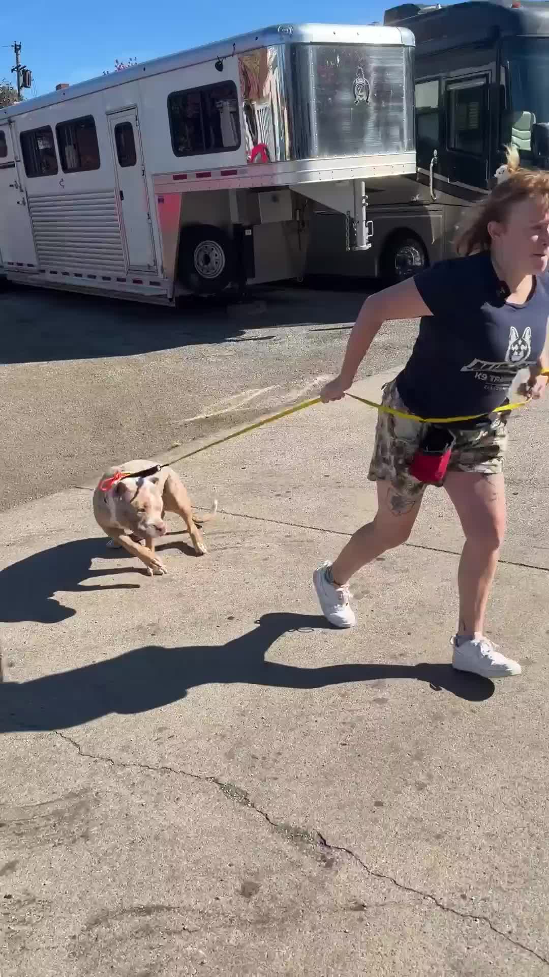 @Miracle K9 Training