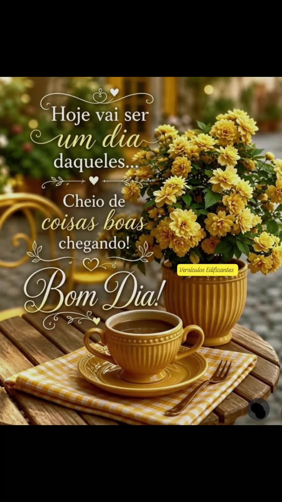 @Opoetabeijaflor