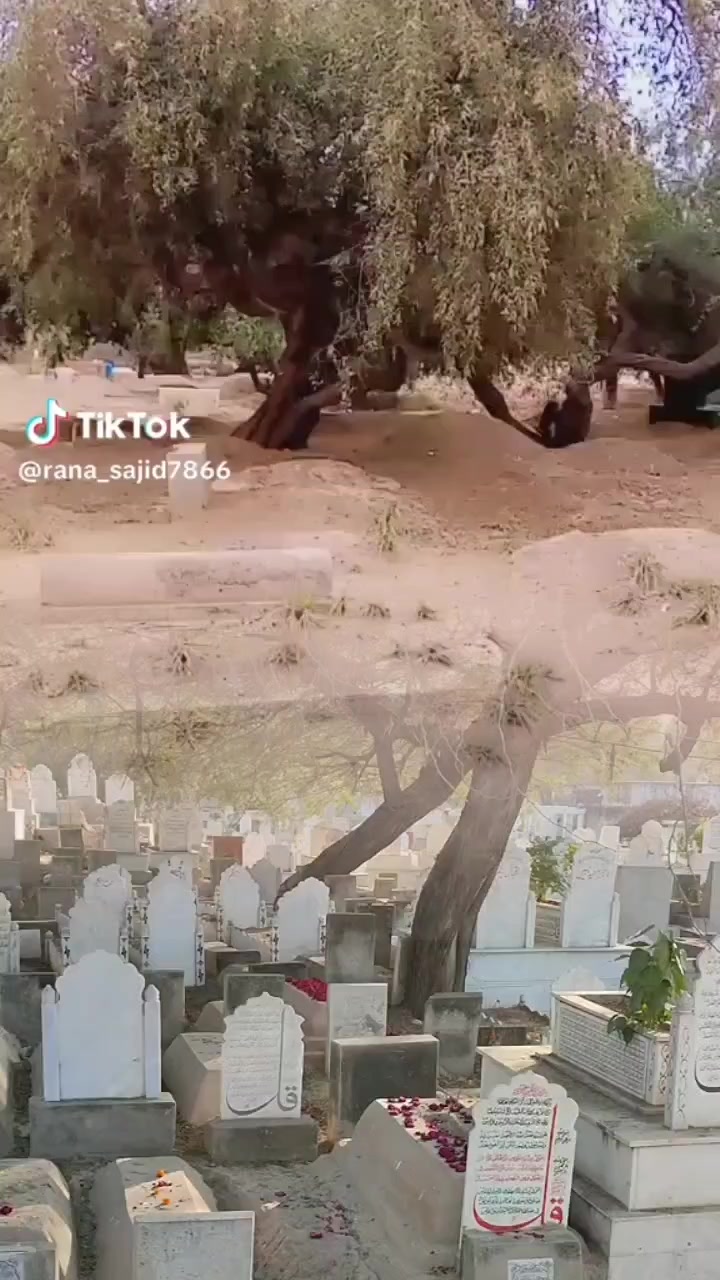 @1752