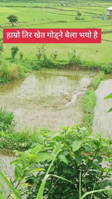 @basyal babu