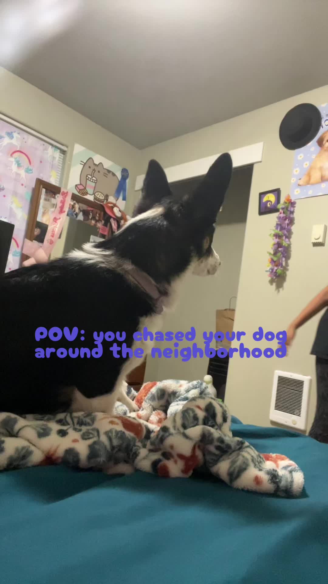 @MinecraftDancer17