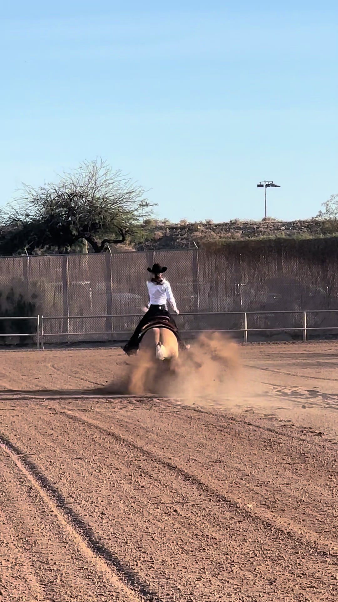 @kortney.reining