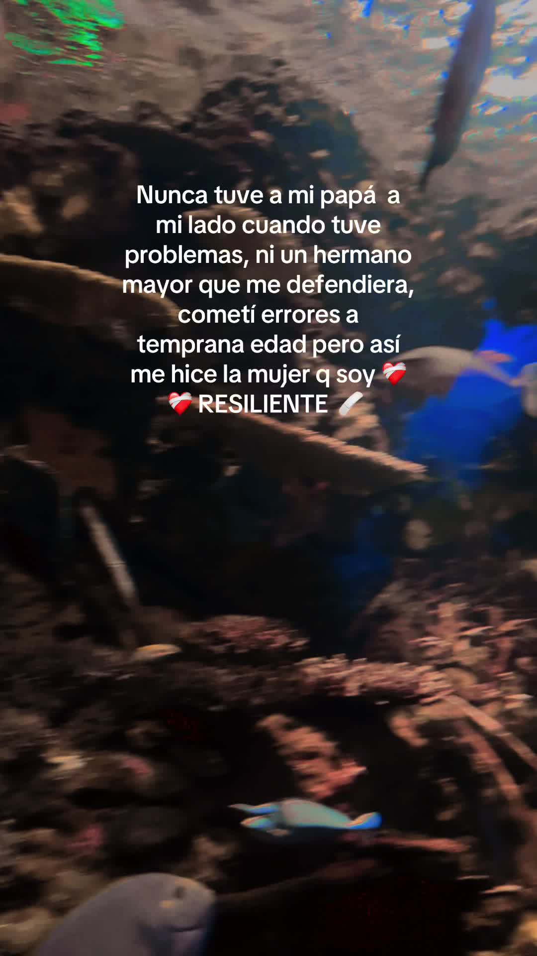 @Jaky Ovalle 🇬🇹🦋🌻