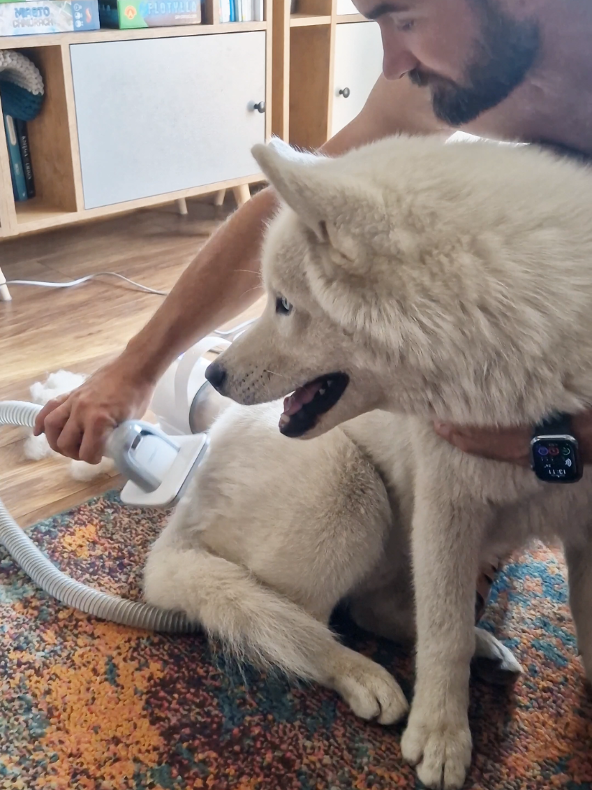 @husky.ananaski