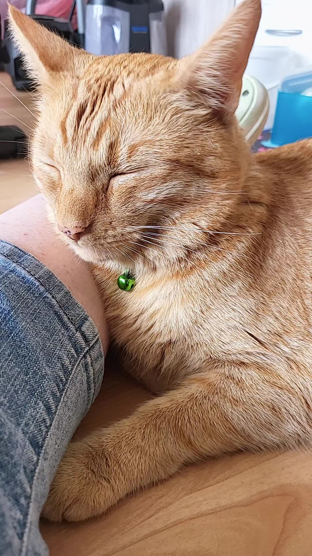 @😸 Alex 😸