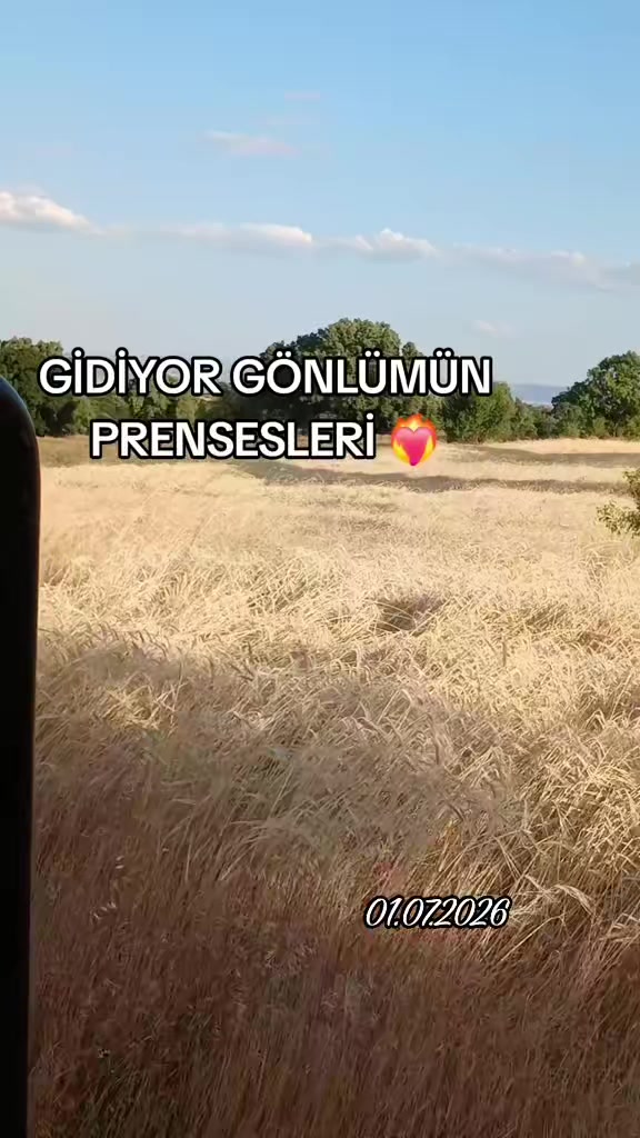 @Hakan AKKAYA