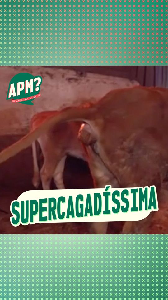@ALGUNA PREGUNTA MÉS?